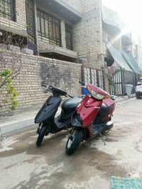 درجات للبيع نوع عصفورية درجات نص نكرة درجات جديدة اشاير كلوبات قفل ستي...