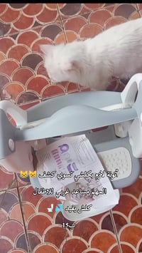 محافظات العراق • بغداد • بصره