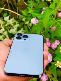 آيفون ١٣ برو ماكس • ٢٥٦ • دبل خط