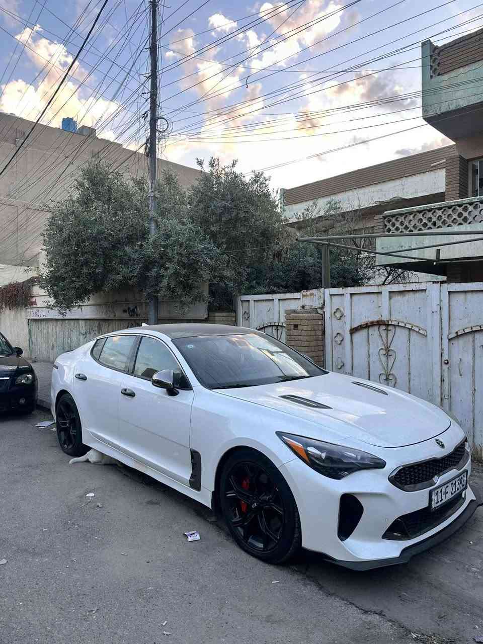 السلام عليكم كيا استنكر 19 فول عده لفتحه مراوس جارجر او اوباما بغداد لكسره قرب ملعب لكشافه 
***********
