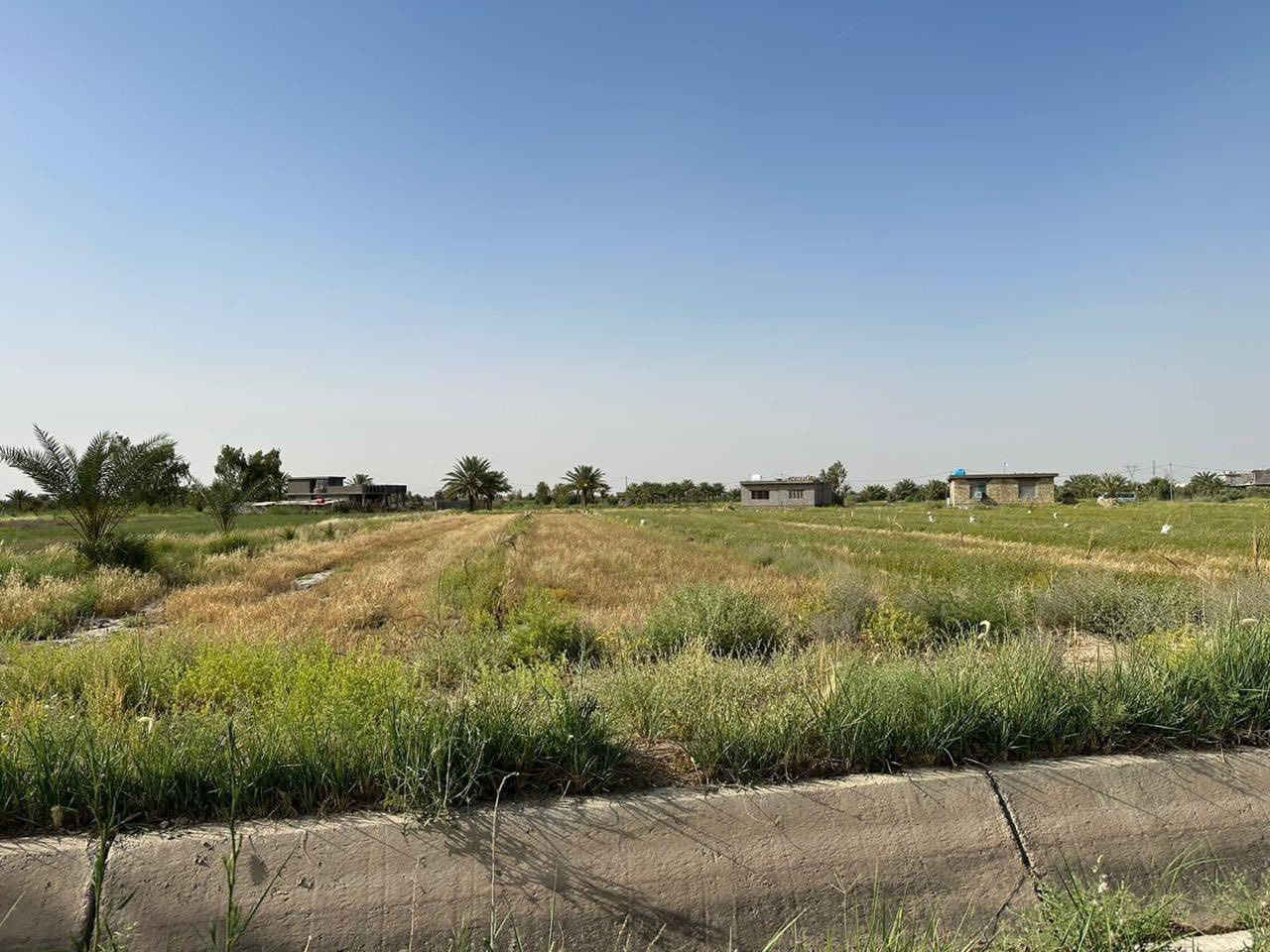 السلام عليكم
تتوفر عدنا دوانم  تصلح للاستثمار او المزارع  بمساحات متعدده وواجهات وابعاد مختلفة
موجوده كهرباء وماء اساله وخدمات كامله سكن ومدارس كلشي موجود منطقة كامله والاسعار تختلف من 25 مليون الى 65 مليون حسب موقع الارض 
مكان الاراضي في التاجي ذراع دجله 
للتواصل والاستفسار على الرقم التالي ***********
