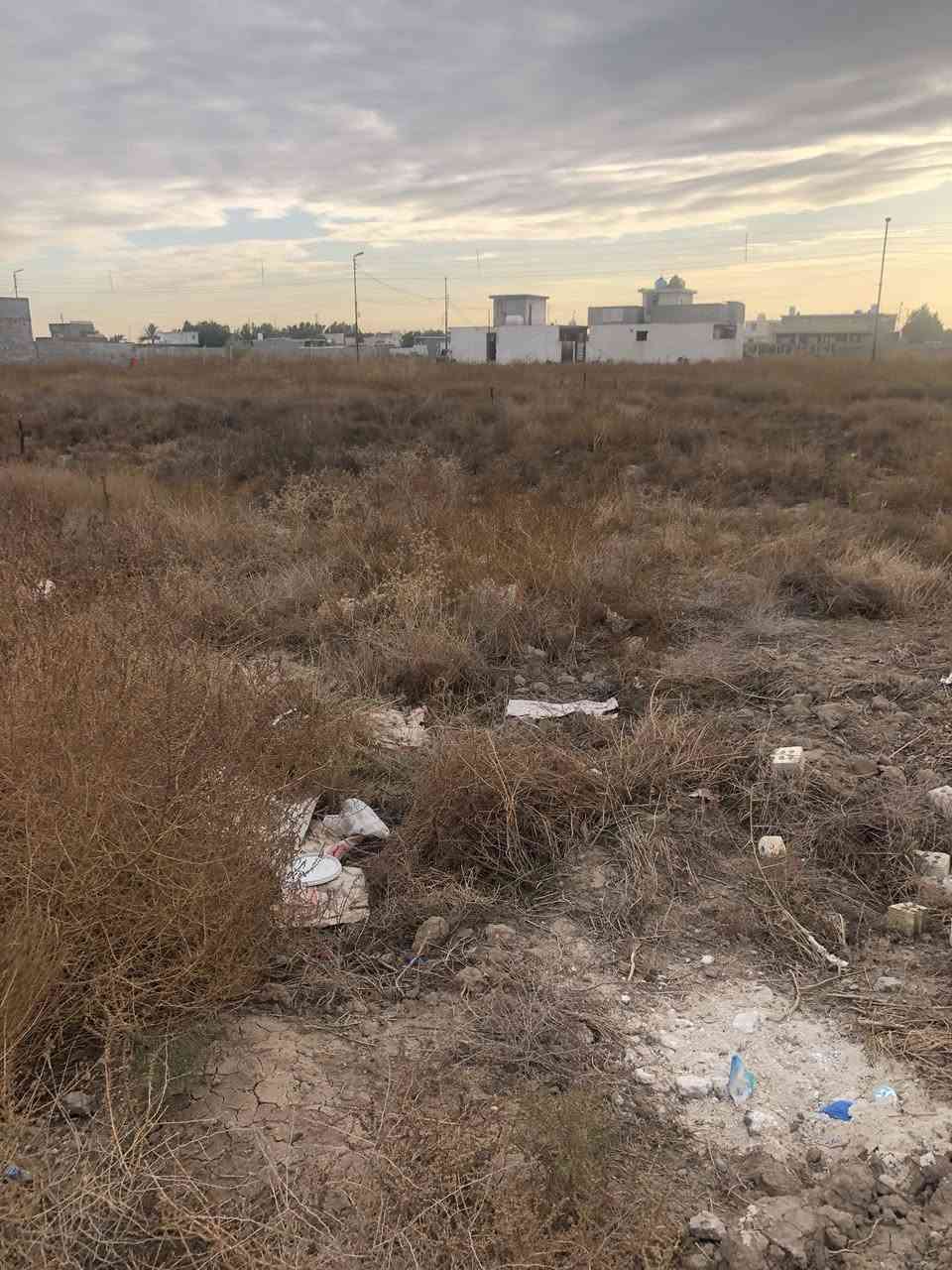 السلام عليكم قطعه ارضي زراعي 
سند ٢٥
في منطقه هور رجب بالمنتجع السكني 
تفاصيل اكثر لاتصال 
***********
***********
