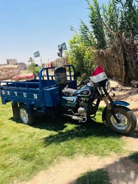 ستوته • دايوان • اوراق اصوليه