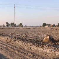 قطعه للبيع زراعي اميلحة قرية آل حميد مساحتها 644 متر  07893545706