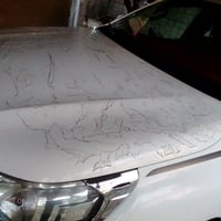 هايلوكس فور ويل للبيع موديل 2019 مكفولة كفالة عامه سيارة جديدة كلش بعد...