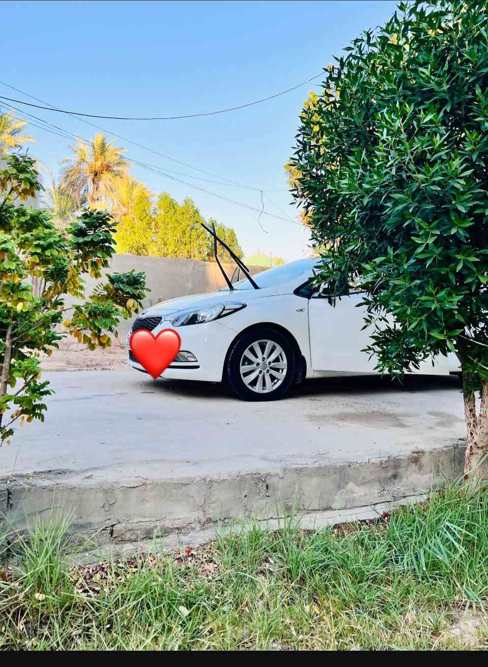 سيراتو
٢٠١٣
خليجي مكفوله كفاله عامه أكفلك من الشخط و الصبغ والتبديل
رقم سليمانيه 
اتريد تحويل اتريد وكاله 
السياره احله من الصور
محرك 1600دوش
 مكان السياره بابل السياحي 
السياره معروضه 130 بيه مجال 
الاستفسار ***********
