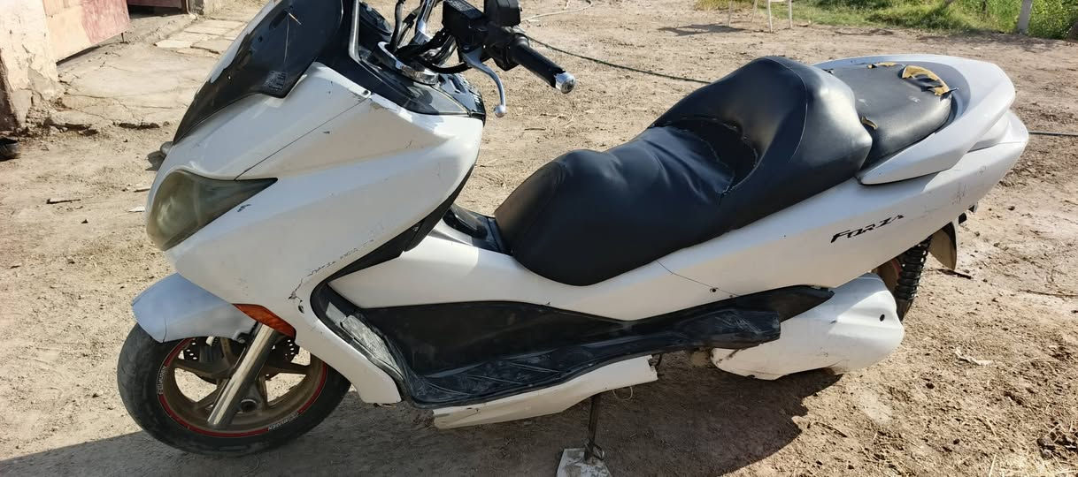 شباب فورزه  010 جهازه شغاله گير 7 نمر
بيه تلحيضات بلترايش وتريبات بصيطه 
650 مناسبه محتاج فلوسه مكاني بلدوايه  ***********
