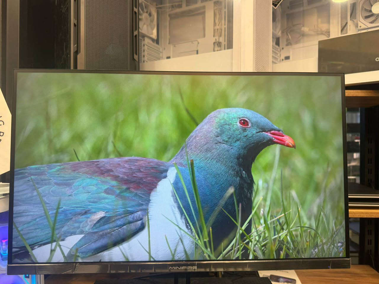 Monitor 27 inch MiniFire 100 Hz Full HD شاشة العاب

🔥 شاشة ألعاب MiniFire قياس 27 إنج 🔥
🎮 تجربة لعب أكبر وأكثر سلاسة

• قياس الشاشة: 27 إنج
• الدقة: Full HD 1080p
• التردد: 100Hz – سلاسة ممتازة للألعاب
• مناسبة للألعاب، الأفلام، والعمل المكتبي
• ألوان واضحة وحجم مثالي للغيمرز
• تصميم أنيق يناسب أي Setup

⚡ أداء ثابت + سعر مناسب
📦 متوفرة الآن – الكمية محدودة 
✔️ السعر 125،000 فقط 

📞 للتواصل والاستفسار: *********** أربيل, العراق
