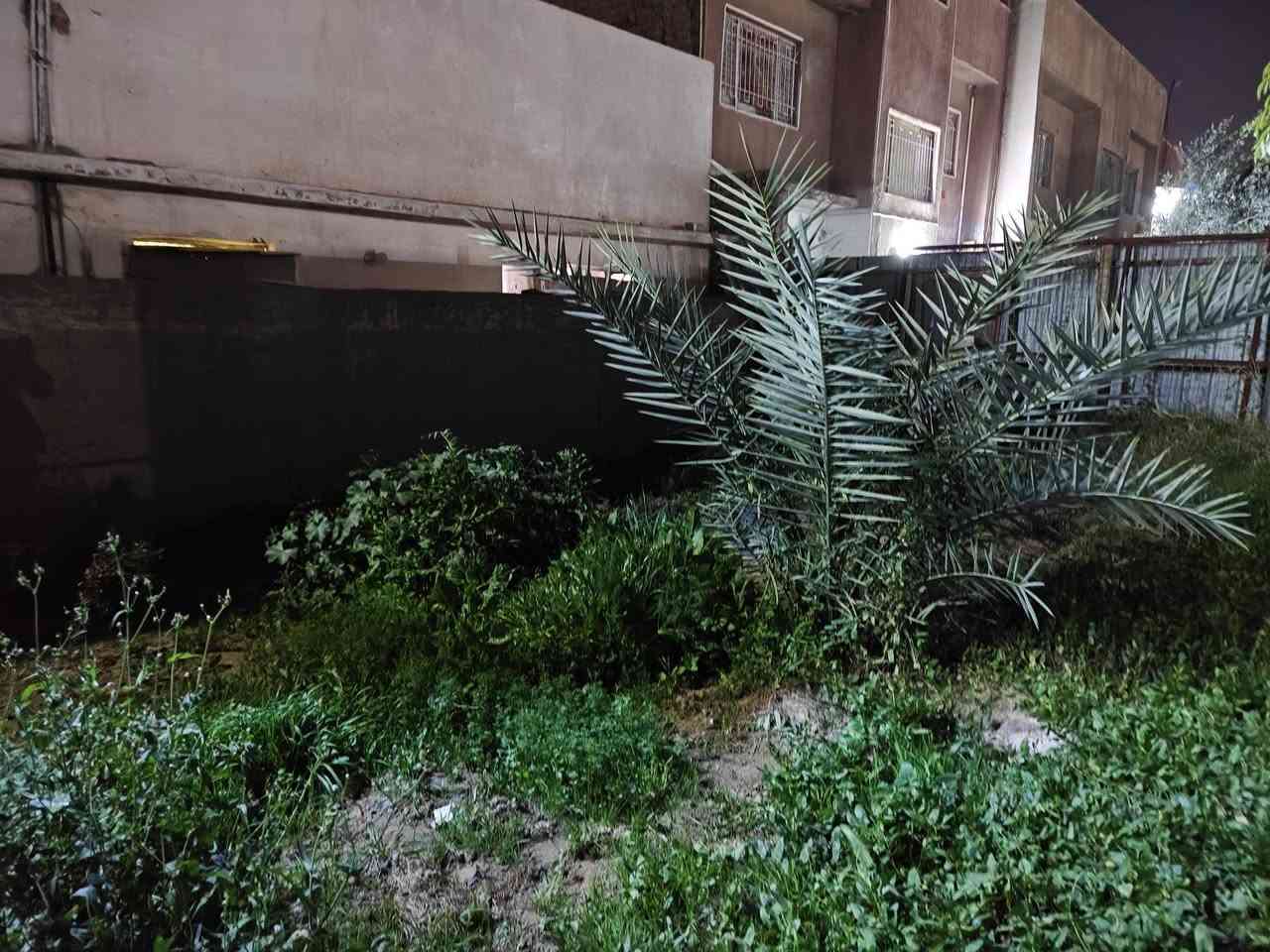 للبيع دار طابو ملك صرف 150متر مربع
10×15سند مستقل بأسم شخص واحد فقط زنجيل على شارعين +تشجير امامي ملاسق بحدود ال50متر شارع عريض 20متر خدمات ماء مجاري كهرباء تبليط رصيف +ساحه فارغة مقابل الدار ممكن تستغل حديقه خارجية 
الدار طابق واحد استقبال هول مطبخ صحيات غرفة نوم بيتونة بناء قديم صب مسلح الزعفرانية حي الزهور الطابو عل شارع العريض مقابل الساحة 
للأستفسار اكثر الاتصال على الرقم التالي *********** علي حامد الجواري مكتب المهيب للوساطة العقارية وأنجاز المعاملات
