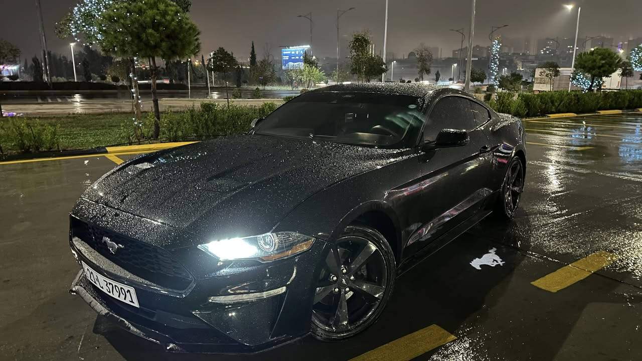 السلام عليكم
فورد موستنگ 2021 للبيع

رقم سليمانية ومكانها سليمانية

ايكو بوست

أعلى مواصفات بالايكو بوست

حتى عدادات دجتال موجوده بلادي ( سعرهن وحده بحدود ال١٥٠٠ دولار)

شاشة وسطية كبيرة

رادارات امامي خلفي 

نقطة عمياء 

مودات قياده نورمل سبورت تراك ثلج

لد داخل الوان متغير

من الأخير اعلى مواصفات 

نصبتها كلش حلوة

وسياقتها داخل سليمانية فقط نظيفة جدا

گير محرك شاصي مكفولات

بيها كتاب تظليل 80% سعره 450 الف سنة كامله

سيارة دهن بس لكوي مولي وبنزين سوبر نادرا محسن

ماشيه 48 الف كيلو وليس مايل

بالمايل بحدود 30 

حادثها تبديل جنطة خلفي وبيها بارد كم مكان بحواف الچاملغات

صبغ او ضربه غير الجنطه ماكو

ايرباگ ماكو

ما متواجدة عالفيس

هذا رقم للي يريد يجي يشوفها

رجاءا المو شراي ليخابر

سعرها 190 وبيها مجال

لتقارنوها بالمهجومات والعميات والايرباگ

***********

الي يريد يشوف فديوهات الها

مصوره هوايه الها فديوهات ع حساب الانستا asawer_alithawi
