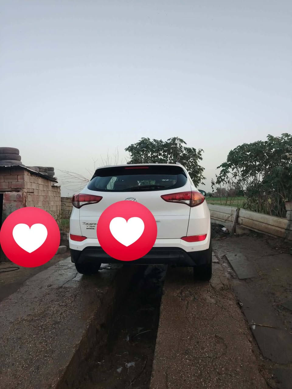 السلام عليكم
توسان خليجي 18 مكفوله كفاله عامه لا ضبغ 
ولا بادر ولا طخه ولا ضربه 
مكاني بغداد
السعر 190
*********** بغداد ابي غريب
