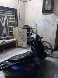 سكنس صيني • ٢٠٢١ • بدون أوراق
