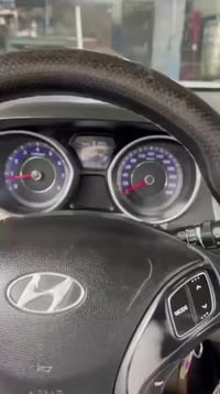 حبايب كلبي مرخصه الادمن حداد صدر جميع انواع السيارات العنوان بغداد الج...