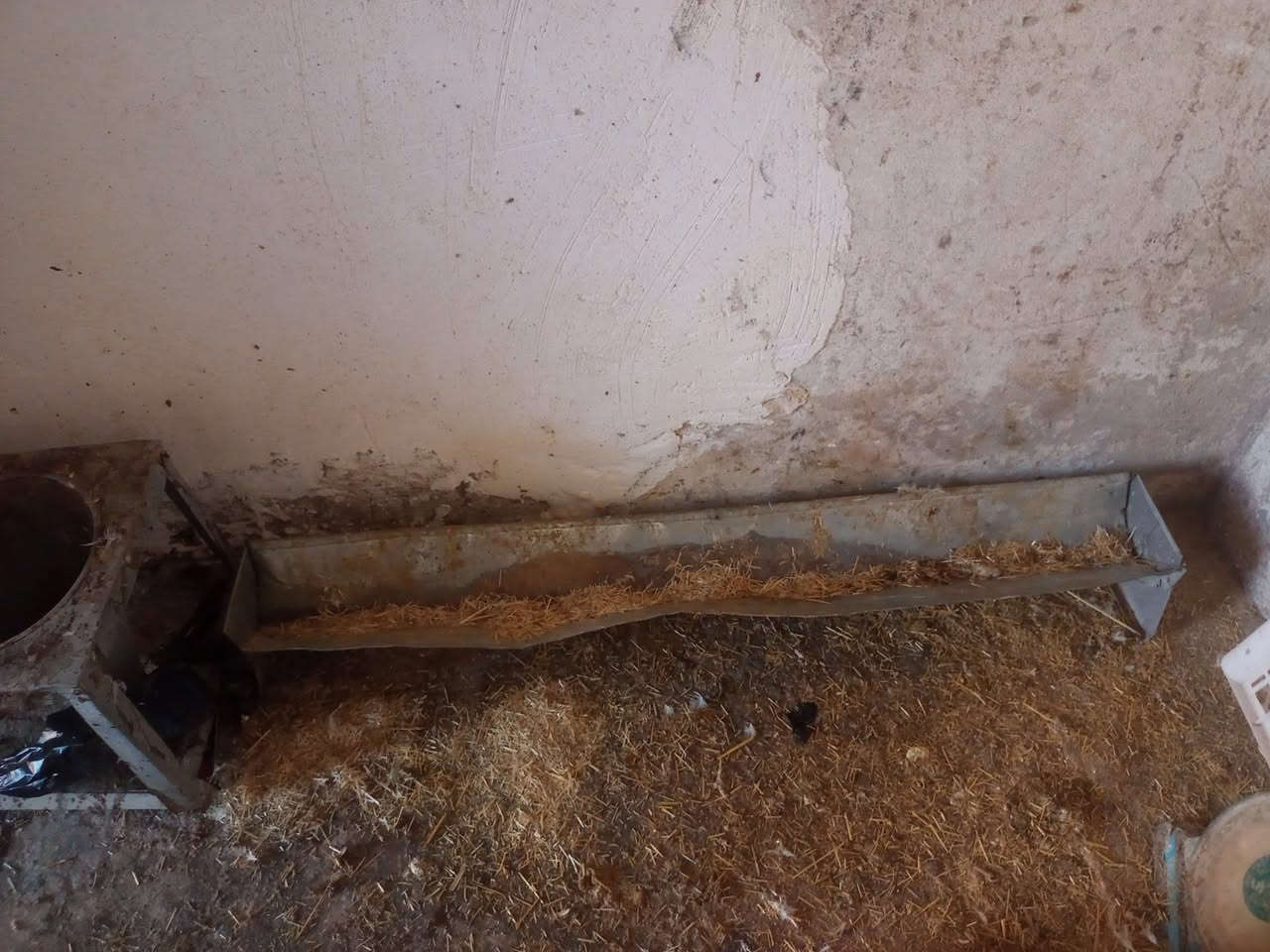 غراض دجاج هلاسه ومعلف ومذبح وميزان عادي وسنك مع قاعده


**إذا كنت صاحب هذا الإعلان وتريد حذفه لأي سبب، رجاءا أرسل رسالة إلى الدعم الفني**