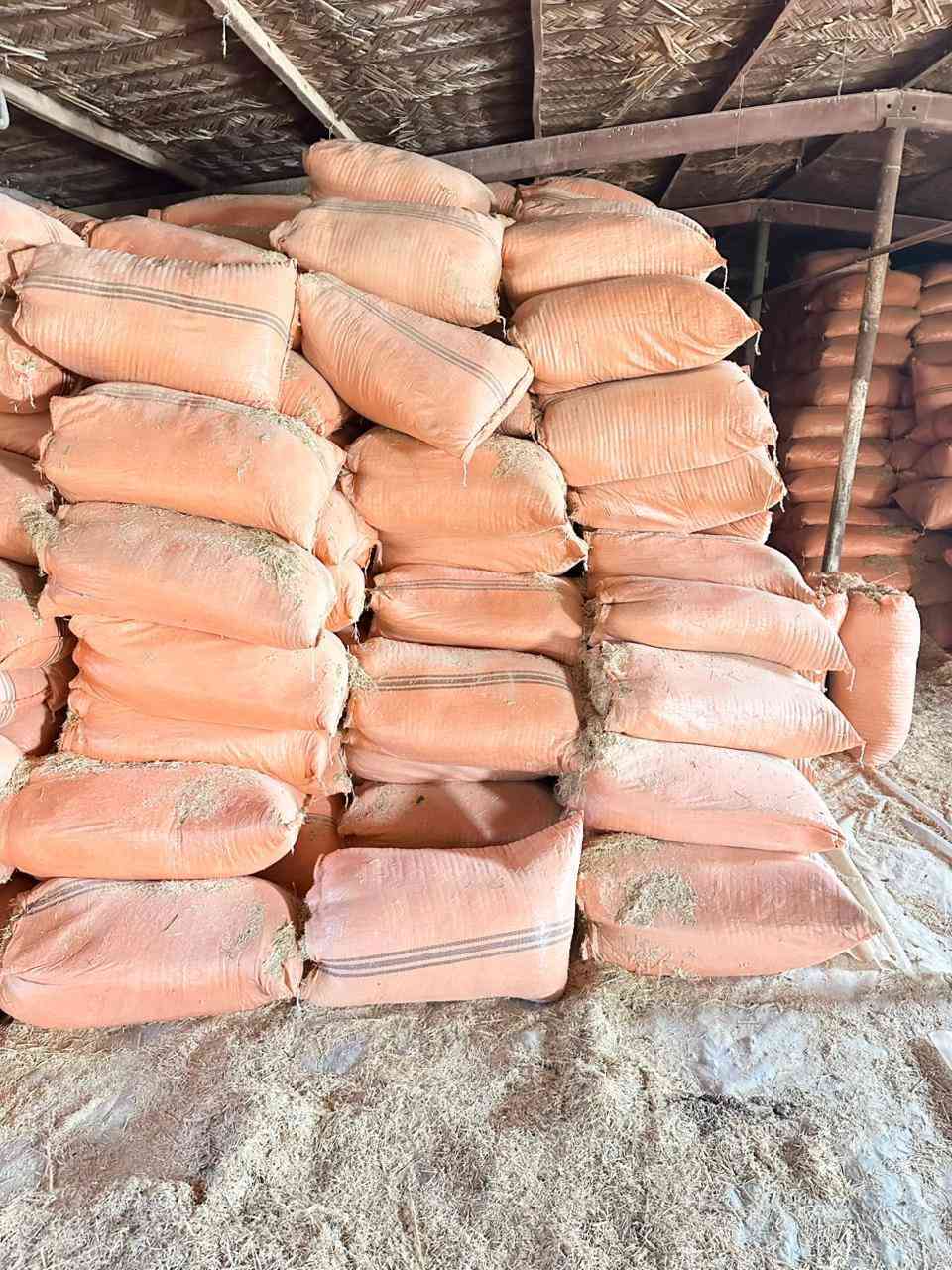 السلام عليكم ورحمه الله وبركاته
تبن للبيع عنوان سامراء شليف أبو 60 ترس فول سعر الزوج 3000  واصل  للمناطق فقط ضلوعية بلد الدجيل يثرب بيشكان الأسحاقي  مراسلة الصفحة على المازنجر أو الأتصال على الرقم ***********
***********
