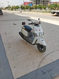 بعقوبه • ديالى • قابل تفاوض