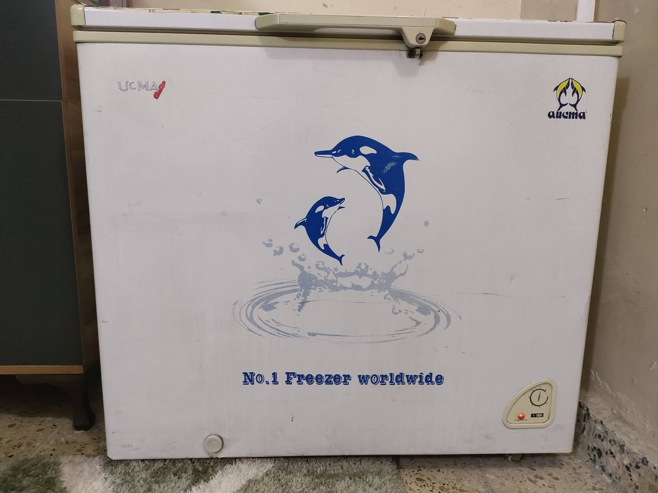 سلام عليكم ورحمه الله من رخصة الادمن مجمدة ام الدولفين حجم 12 قدم نضيفة حوضهه واسع كلش برغي ممفتوح بيهه شرط الفحص ومثل مموضح بالصورتجميدهه فدشي راقي--السعر 150--وبيهه مجال للشراي ***********
