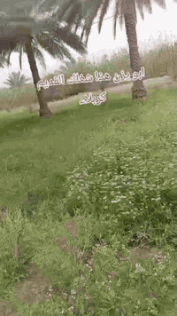 حفر ابار ارتوازيه • غسل الابار • مقاولات عامة