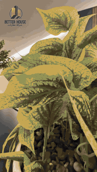 شقة VIP • ١٤٣م • السليمانية ميران سيتي