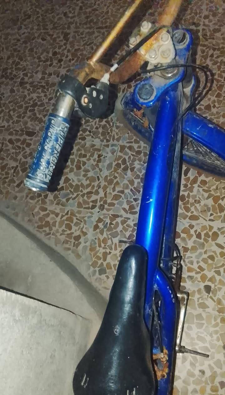 السلام عليكم عند بايسكل للبيع حجم 20لو 22 السعر 17وبي مجال للطيبين


**إذا كنت صاحب هذا الإعلان وتريد حذفه لأي سبب، رجاءا أرسل رسالة إلى الدعم الفني**