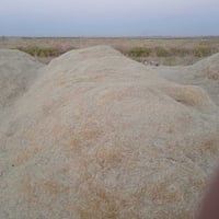 تبن • أربيل كركوك • ناعم