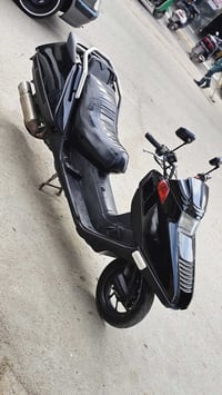 فيوجن • مصبوغة جديدة • كوت