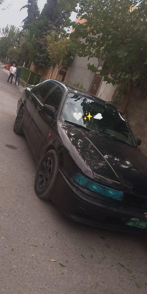 *********** أربيل, العراق
