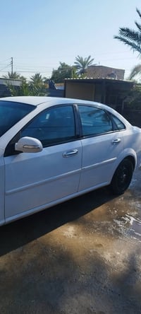 بترا • ٢٠١٣ • المحمودية