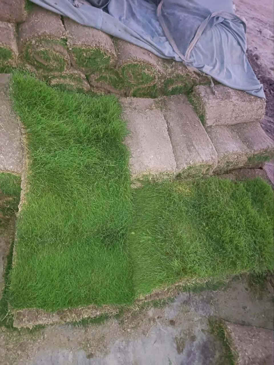 ثيل تجهيز جميع المدن  للاتصال ***********//***********
