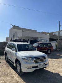 ٢٠١١ • بدون صبغ • ١٧٠ الف