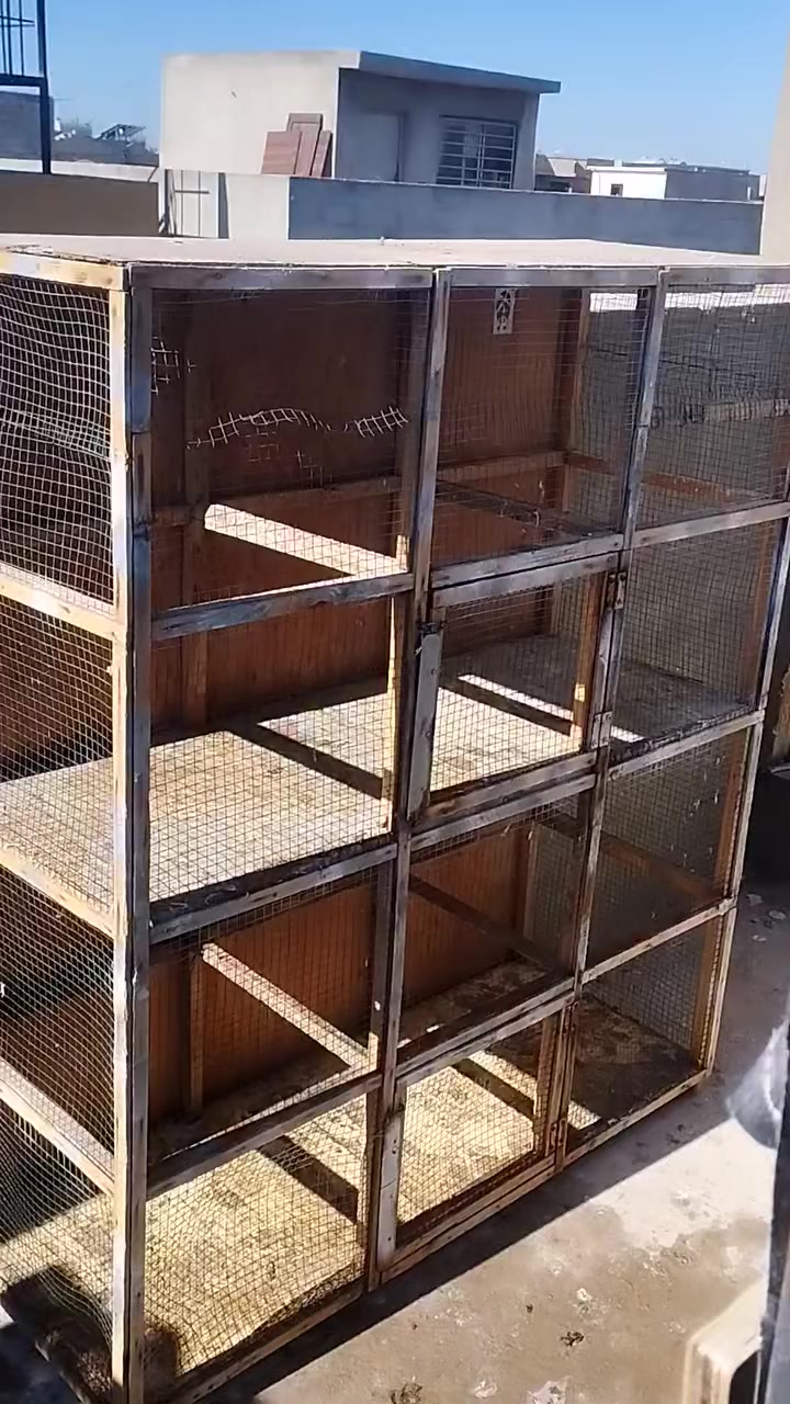 قفص خشب درجه اولى قوي جدا
السعر 45 بيها مجال 
للتواصل خاص او ***********
