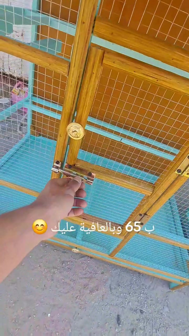 اللهم صلي على محمد وآل محمد
متاح .. يرهم للطيور الحب والبلابل والفناجس وغيرها 
ارتفاع متر و 5 
واجهة متر 
نزال 55 
السعر 65 عنواني بغداد مدينه الصدر الشماعيه *********** واتساب وماسنجر
