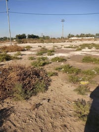 طابو صرف • ٣٣٣م • واجهة على النهر