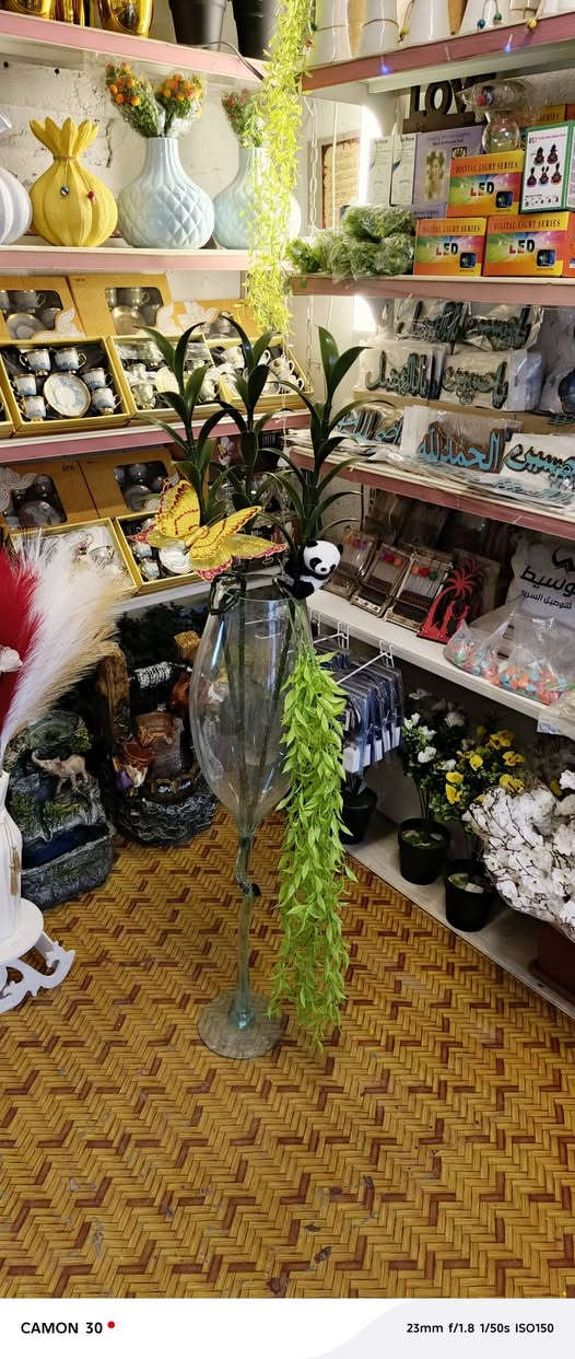 عصا موسى  &   عصا ساق البامبو

        الاصطناعية

زيتيه درجة اولى كلششش راقي وجميل تميل للحقيقية 100٪  الارتفاع متر

@إشارة #الجميع #متابعين #عصاموسى #بامبو


**إذا كنت صاحب هذا الإعلان وتريد حذفه لأي سبب، رجاءا أرسل رسالة إلى الدعم الفني**