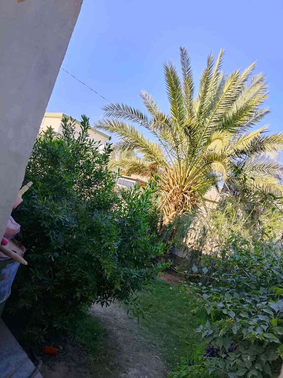منزل للبيع في الهارونية العقود 🏠
مساحة بناء المنزل 250 متر ويتكون المنزل من ثلاث غرف وصالة ومطبخ واستقبال وحمام داخلي وصحيات خارجية  ومساحة الارض الكلية للمنزل 1،216 متر
 للأستفسار اتصل على الرقم ‏ *********** ‏
