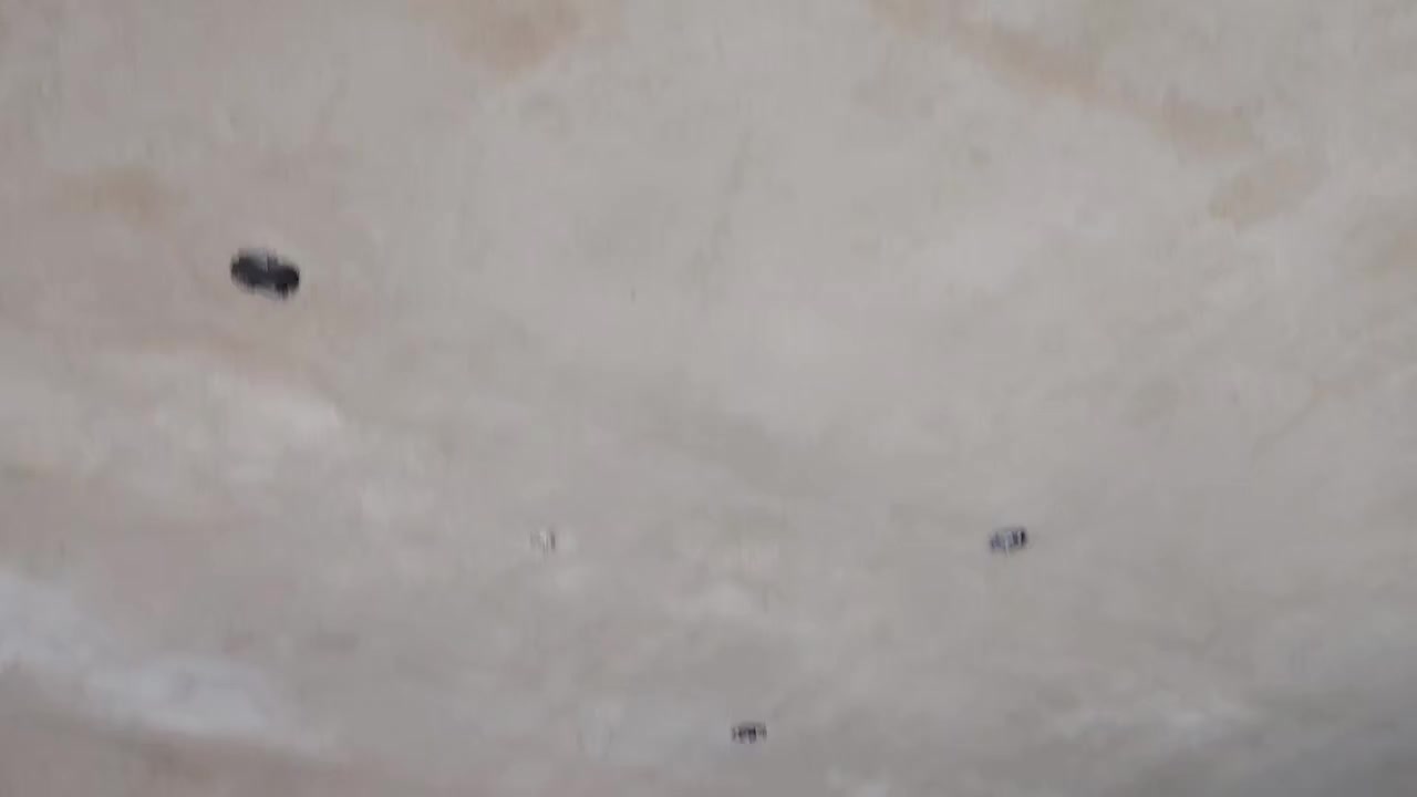 سلام عليكم شغلنه الباخ ونثر وبياض مكان ناصريه مركز شغل نضيف هاذه رقمي بي واتساب ***********
