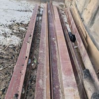 شيلمان • ٤٫٥م • العدد ١٢