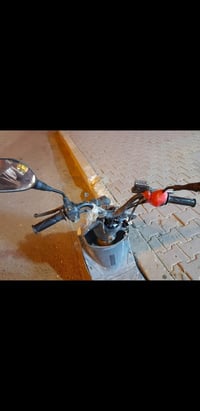 ماكس منغولي • فحص ناقص