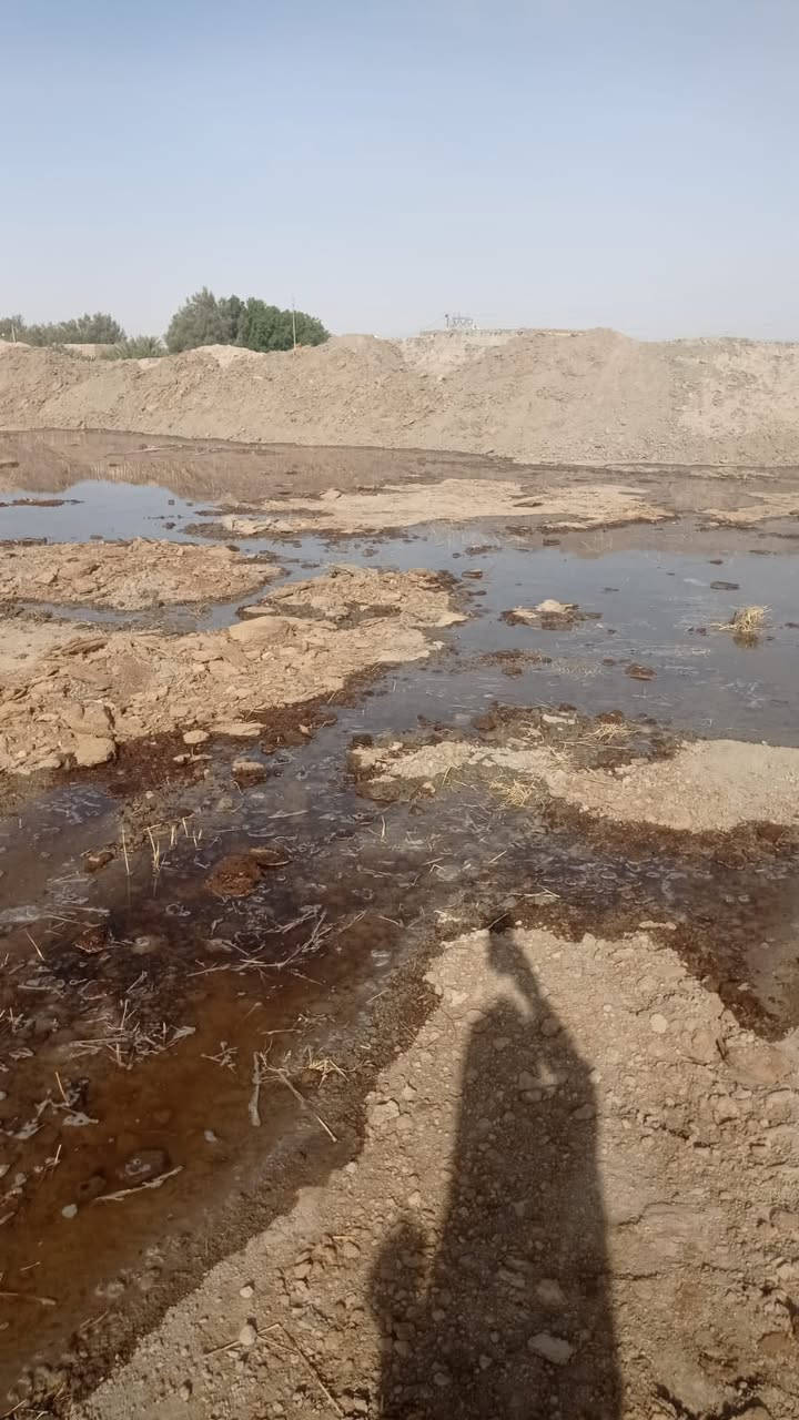 أرض زراعية مالتي كنستهه واريد أشيل ترابها العنوان الفريحي قرية الزيرج علما أن التراب بلاش بثواب الاموات بس جيب شفلك وسيارتك رقم التلفون ***********
