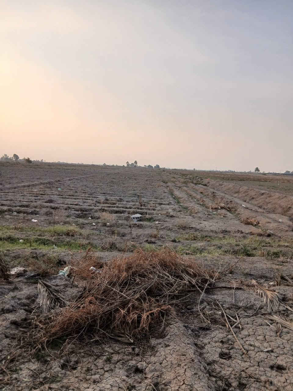 السلام عليكم ارض البيع ٢٠دونم مع بيوت اثنين حديثات العنوان بابل جبلة رشايد فرع الخامس السعر ٢٦٠ /***********
