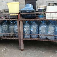 قفص • للبيع • كركوك