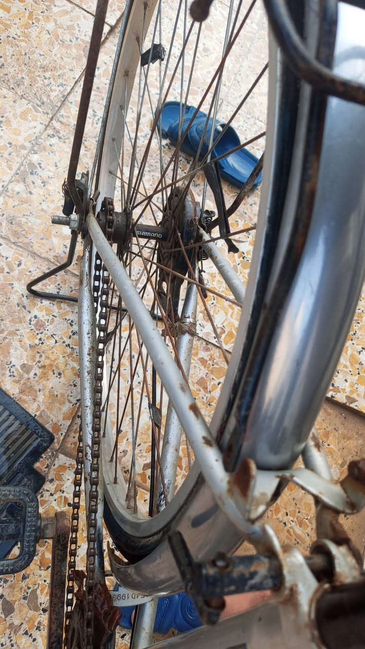 سلام عليكم باسكل لبيع    
ياباني اكبر حجم 27 
سعر50بي مجال قليل 
مكاني براكيه


**إذا كنت صاحب هذا الإعلان وتريد حذفه لأي سبب، رجاءا أرسل رسالة إلى الدعم الفني**