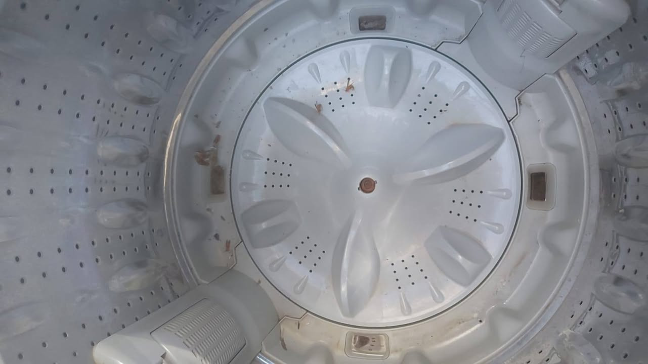 السلام عليكم غساله للبيع سعر خاص


**إذا كنت صاحب هذا الإعلان وتريد حذفه لأي سبب، رجاءا أرسل رسالة إلى الدعم الفني**