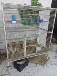 قفص حديد • لكوكتيل • حي جهاد مخابرات