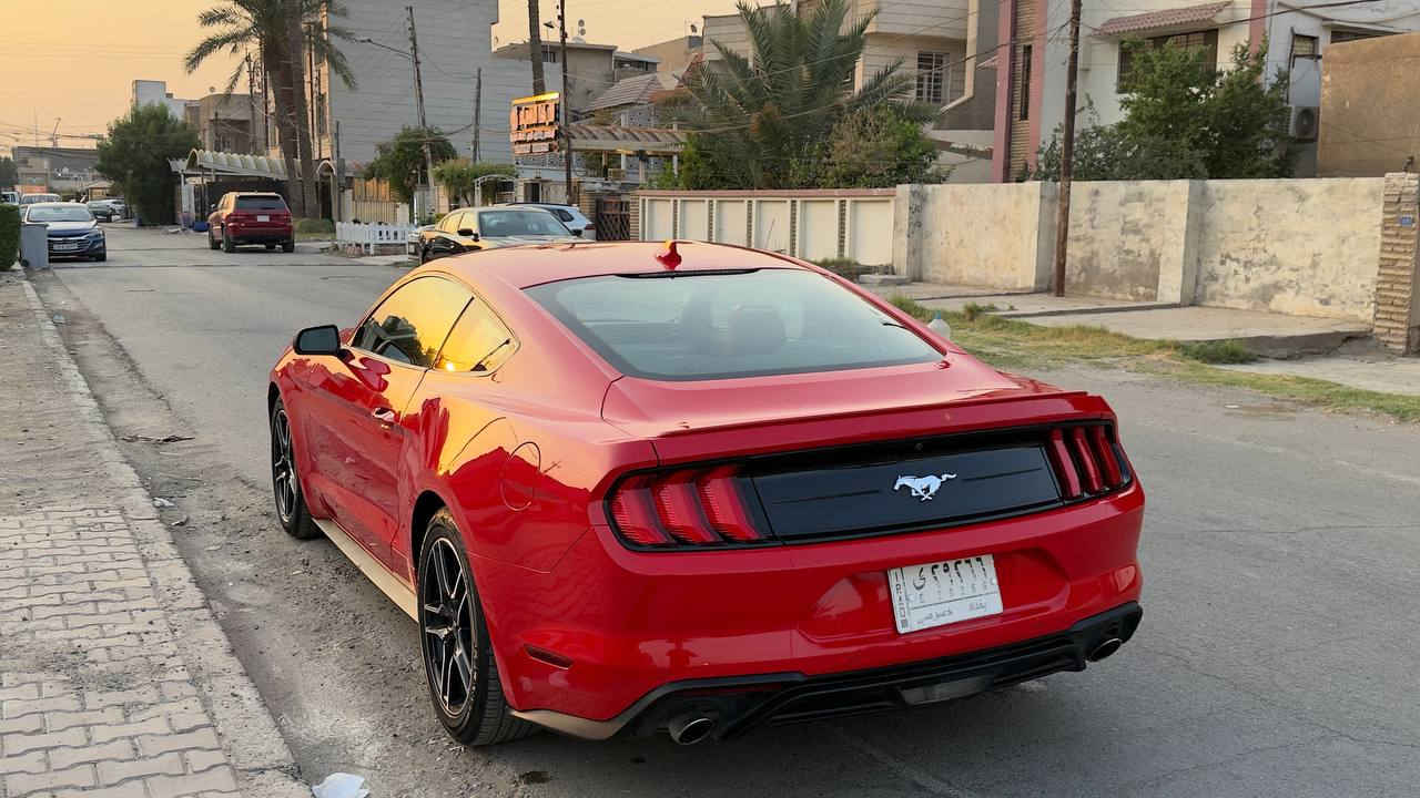 فورد موستنك 2022 بريميوم
ا2.3 تيربو 
كشنات جلد تدفئه وتبريد
داخل سبع اللوان
5 انضمة قيادة 
تحكم ستيرن 
شاشه كار بلي واندرويد اوتو 
تراك اب 
تنبيه ما قبل الاصتدام
مثبت مسار 
دمام خلفي 
تشغيل عن بعد
نقاط عمياء  
ويل قياس 19 
حادث السياره موجود بالصور بيه 3 قطع صبغ جاملغ عكس السايق والبنيد واصبع بالجاملغ الخلفي 
مكان السياره بالمنصور سعر السياره 180 ورقة 
رقمي ***********

