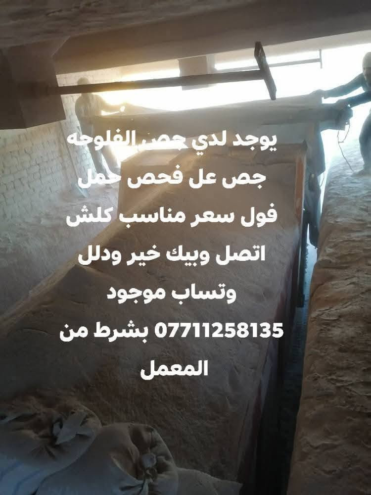 حمل فول جص الجزيره عل فحص قبل مانزل تفحص سيارتي 10متر حمل فول سعر واصل بغداد 500 الف


**إذا كنت صاحب هذا الإعلان وتريد حذفه لأي سبب، رجاءا أرسل رسالة إلى الدعم الفني**