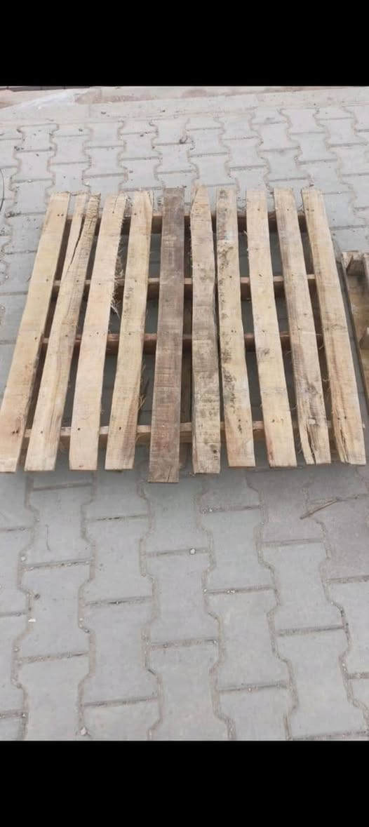 اسكيب انواع القياسات شكد متريد موجود كميه ام السير كلكيم السكيب الهندي بنواعه وقياسه تريد واصل تريد امكانه للتواصل ***********
