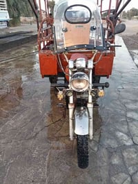 ستوته ام الطير للبيع أوراق اصوليه السعر ٦٠٠ وبيها مجال رقم الهاتف 0773...