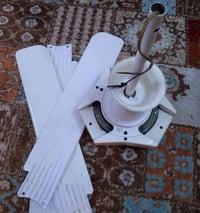 جليكانات • صوبة • بنكه