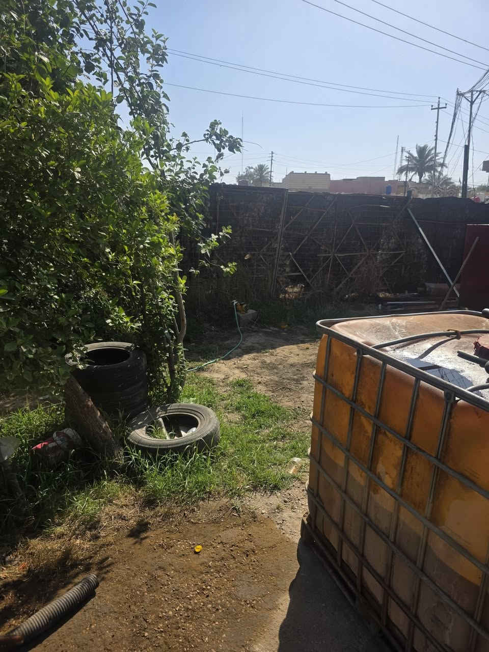 موقع مولده للبيع المكان النجف الحيدريه الحمل 600وقابل للزياده مكاين وحده سكانيه ستندر +البي عشره ستندر الحصه 150 كيفي السعر 45 وبيهه مجال  الستفسار ***********
